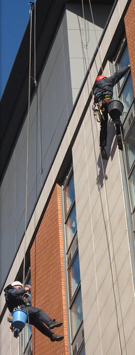 Clearview company history