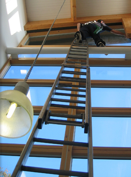 Window cleaning using ladders